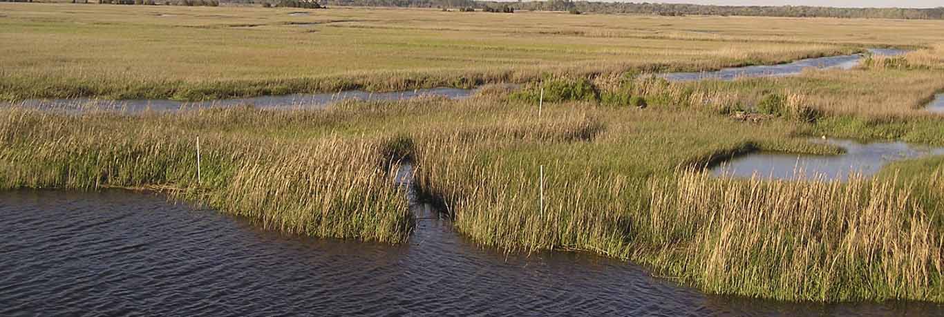 Part 1: The Origins of the Combahee River Collective Statement